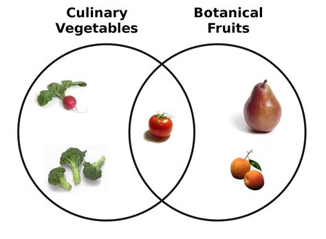 Tomato Fruit Diagram