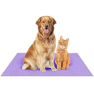 Fancy Steps Waterproof Reusable Washable Pee Pads for Dogs | High ...