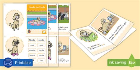 Grade 2 Phonics Mini Reader: oo Digraph