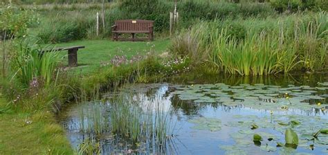 Palmwoods Travel Guide 2025: Top Attractions, Things to Do & Deals ...