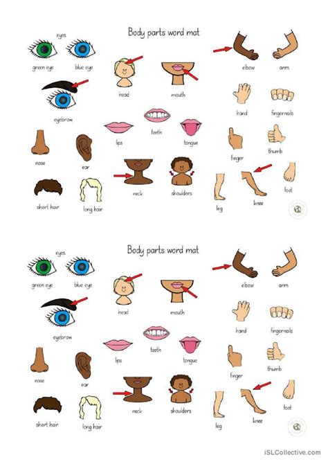 Body Parts word map. pictionary (pic…: Français FLE fiches pedagogiques pdf & doc