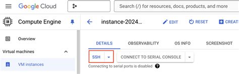 Oracle Database@Google Cloud의 Google Cloud Compute Engine Linux VM에서 ...