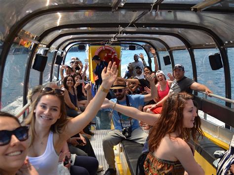 BRUCE ANCHOR CRUISES (2026) All You Need to Know BEFORE You Go (with ...