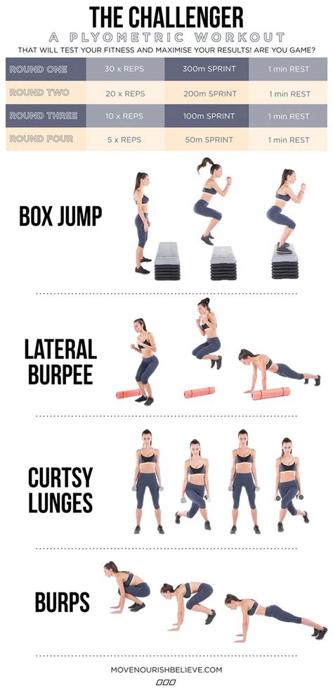 Plyometric Exercise Routine 的图像结果