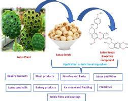 莲叶 的图像结果