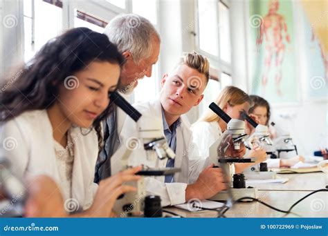 Biology Teaching Jobs Melbourne at Alyssa Geddes blog