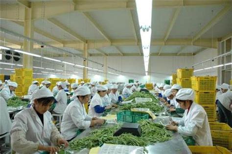 哈尔滨农产品加工瞄准精深持续发力 打造十大特色产业带_新浪黑龙江_新浪网