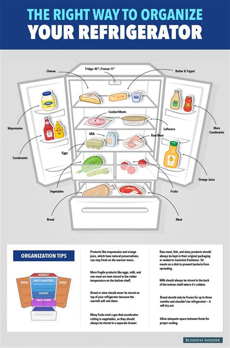 Here's The Right Way To Organize Your Refrigerator | Refrigerator organization, Fridge ...