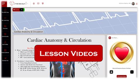 EKG Practice Course 的图像结果