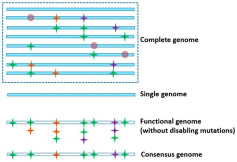 Pangenomics in Microbial and Crop Research: Progress, Applications, and ...