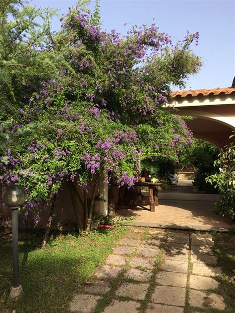 AGRITURISMO IL SINIS (Cabras, Sardinia) - Specialty Inn Reviews ...