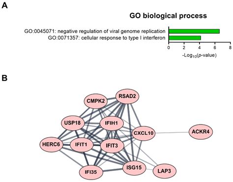 Low-Dose Radiation Affects Cardiovascular Disease Risk in Human Aortic ...