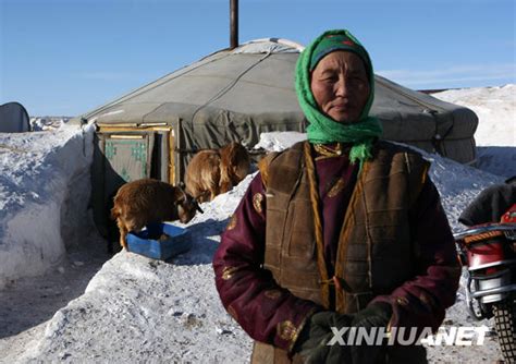 蒙古国遭罕见冰雪灾害 致124万头牲畜死亡(图)-搜狐新闻
