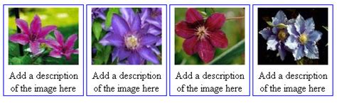 Image result for CSS Styling Tutorials