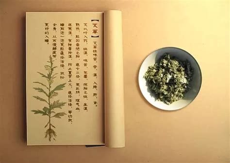 艾条的功效与作用 还不快来艾灸一下！_齐家网