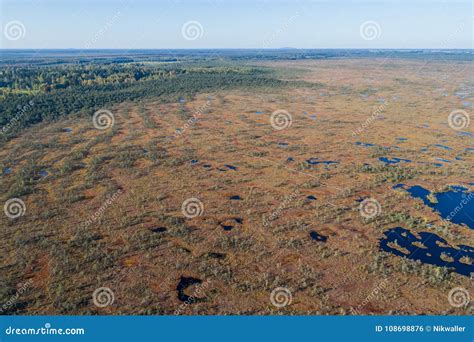 Swamp Aerial View 的图像结果