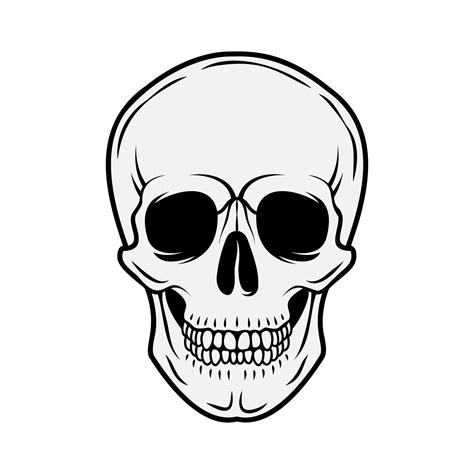 Human skull. Front view. Vector black and white hand drawn illustration isolated on white ...