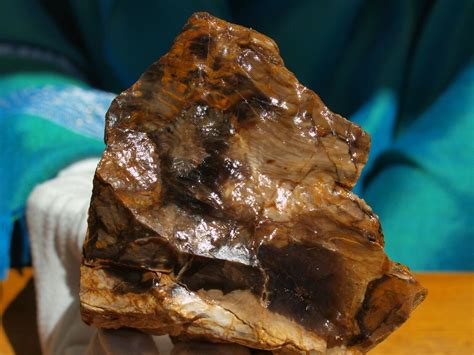 FindingRocks.com - Rare Opalized Petrified Wood from Central Oregon