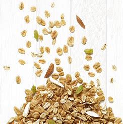 Welcome to bagrrys.com