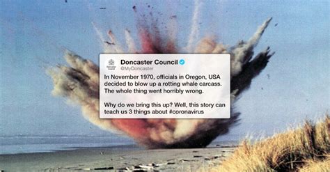 Image result for Owl Exploding