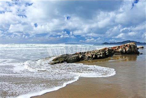 NYE BEACH - All You Need to Know BEFORE You Go 2026 (with Photos ...