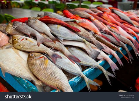 Kota kinabalu fish market : 1 940 images, photos et images vectorielles ...