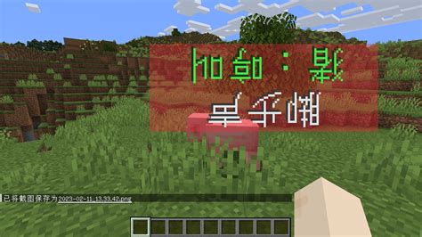 Image result for Minecraft Subtitle Command