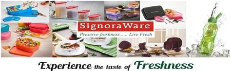 Buy Signoraware Executive Round Big Plastic Container, 450ml, T Blue ...