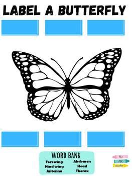 Image result for Butterfly Size Label