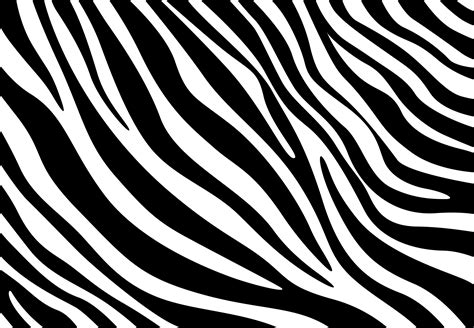 Image result for Zebra Print
