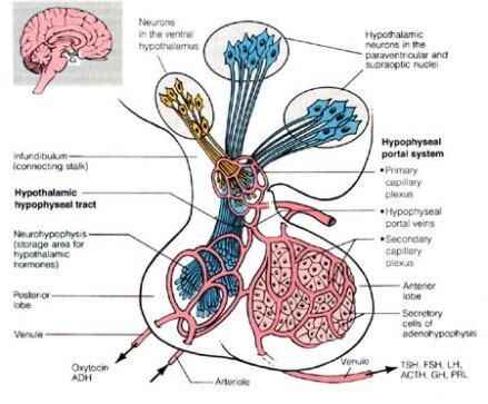Image result for Machine Learning Containing Process