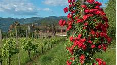 la ghiaia resort la ghiaia a sarzana liguria la ghiaia resort la ghiaia a sarzana liguria