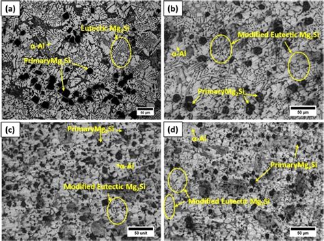 Image result for Autoscript HC1 Opto
