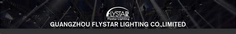 Company Overview - Guangzhou Flystar Lighting Co., Limited
