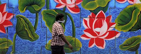 South Asian Countries Urged to Cooperate in Fight Against COVID-19 ...