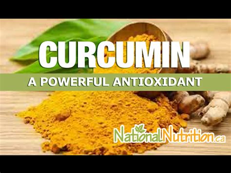 Image result for Curcuma Side Effects
