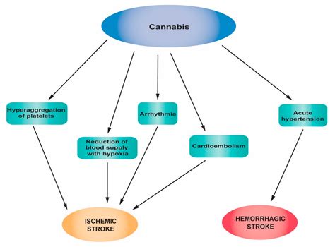 A Mechanistic and Pathophysiological Approach for Stroke Associated ...