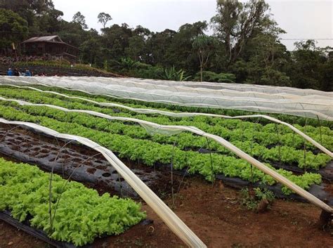 10 BEST Places to Visit in Mindanao - UPDATED 2022 (with Photos ...