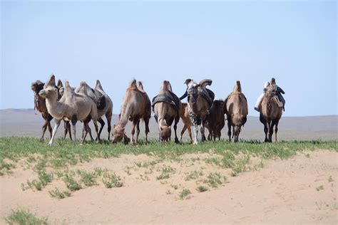 IKH NART NATURE RESERVE 4 DAYS TRAVEL (2026) All You Need to Know ...