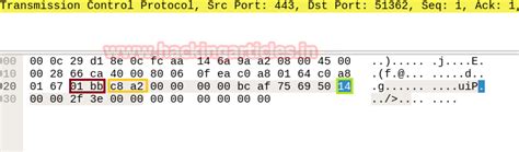 Forensic Investigation of Nmap Scan using Wireshark