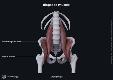 Sore Iliopsoas Muscle