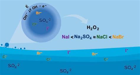 H2O2 Reactor 的图像结果