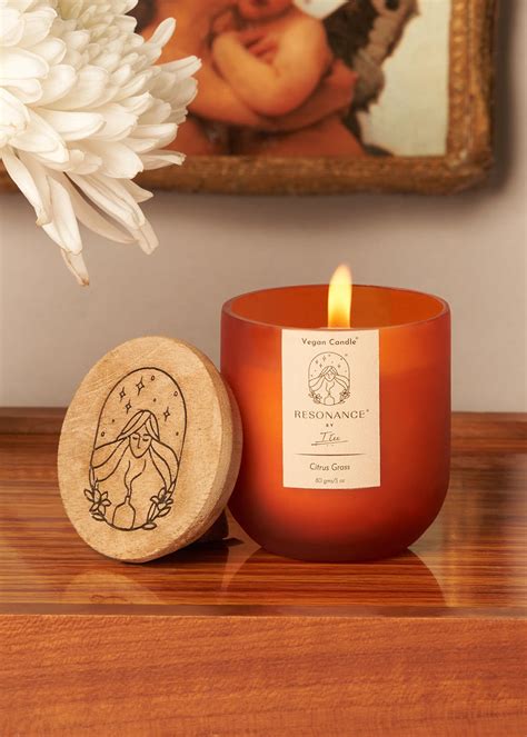 Get Citrus Grass (Bug & Mosquito Repellent) Aromatherapy Vegan Candle ...