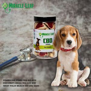 Medical Marijuana Doctor Approval, 12510 Pines Blvd, Pembroke Pines, FL ...