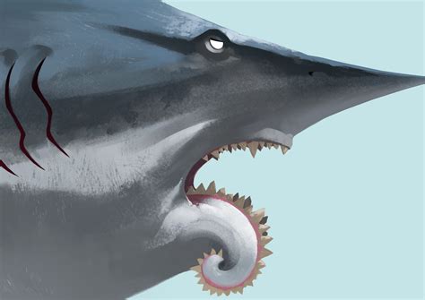 旋齿鲨的牙齿到底是怎么长的？百年来让科学家伤透脑筋！_百科TA说