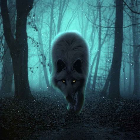 The Wolf. Spiritual Meaning - Soul the Animal