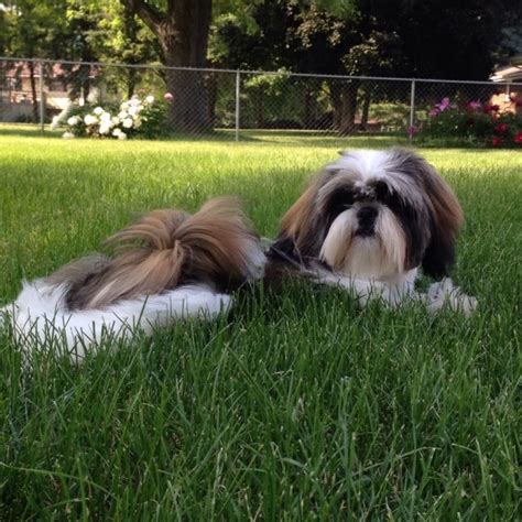 Why Support Local Business 的图像结果