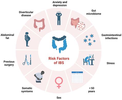 Irritable Bowel Syndrome Treatment