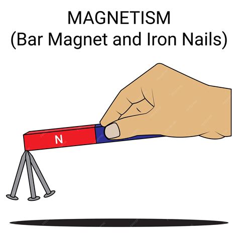 Premium Vector | Bar magnet and iron nails. Magnetism. Physics lecture ...