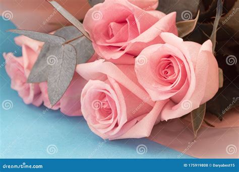 Soft Dusky Pink Color Roses Aesthetic Bouquet with Eucalyptus Brunches ...